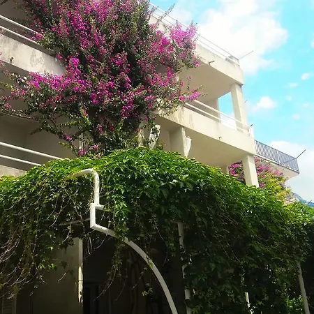 Angela Apartment